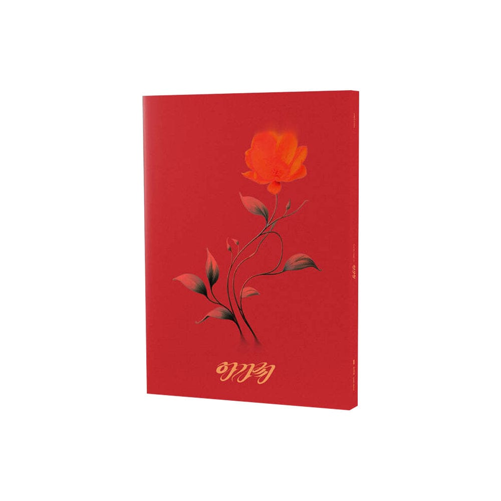 KPOPMERCH ALBUM RED SOOJIN - AGASSY 1st EP