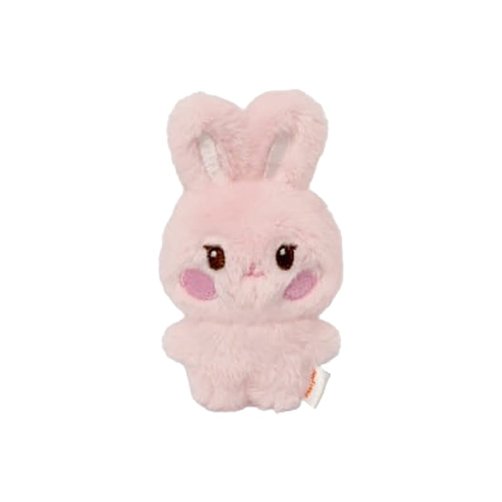 ATEEZ MD / GOODS DDEONGbyeoli ATEEZ - TINY ANITEEZ MINI DOLL ( ANITEEZ IN DEJA VU Official MD )
