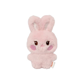ATEEZ MD / GOODS DDEONGbyeoli ATEEZ - TINY ANITEEZ MINI DOLL ( ANITEEZ IN DEJA VU Official MD )