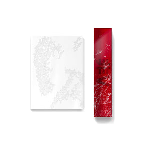 BTS PHOTOBOOK BTS V - V TYPE 非 SET