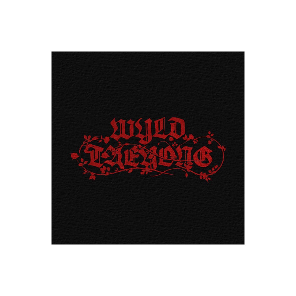 NCT ALBUM NCT TAEYONG - 1st Album WYLD (WYLD BOOK Ver.)