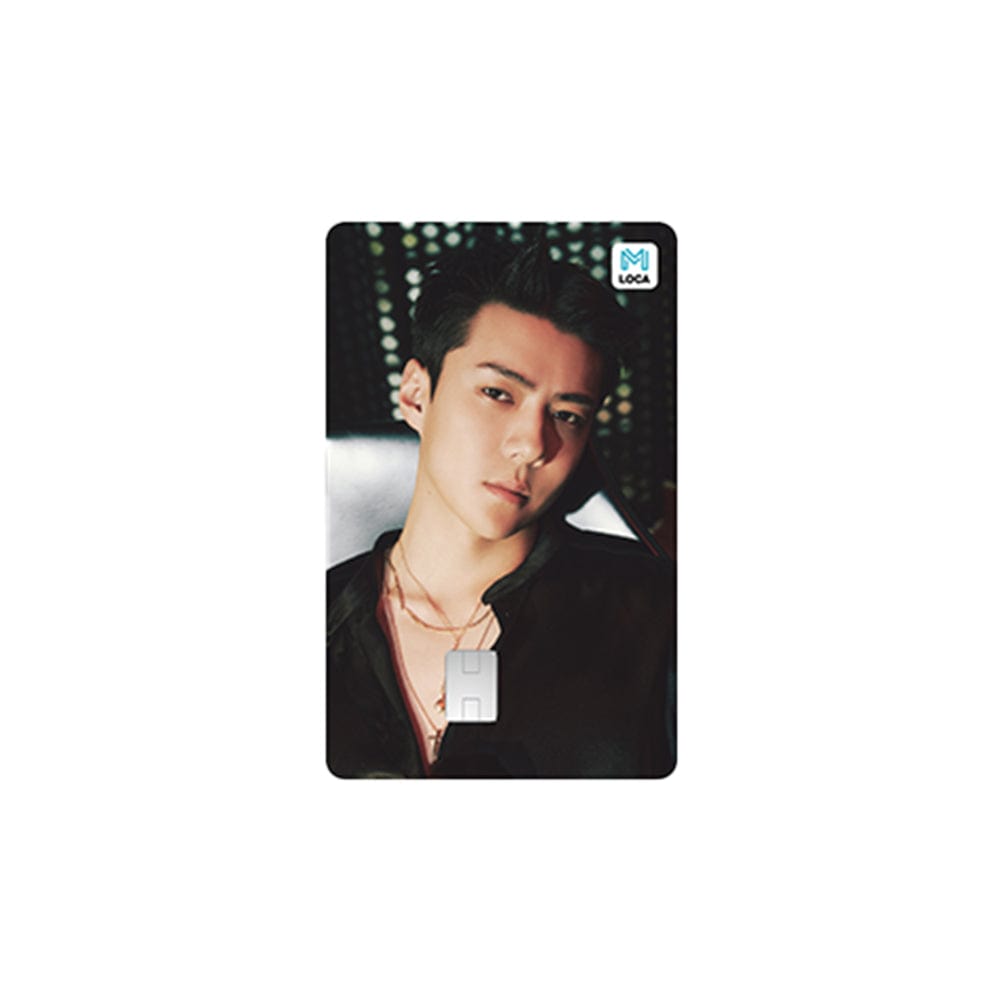 NCT DREAM MD / GOODS SEHUN EXO - EXIST LOCAMOBILITY CARD
