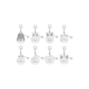 Stray Kids MD / GOODS Stray Kids - SKZOO FACE KEYRING SILVER Ver. - celebrATE MD