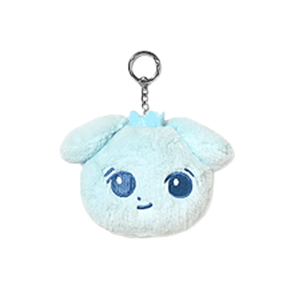 &TEAM MD / GOODS K &TEAM - FACE KEYRING ( Jyuugoya Music Video MD )