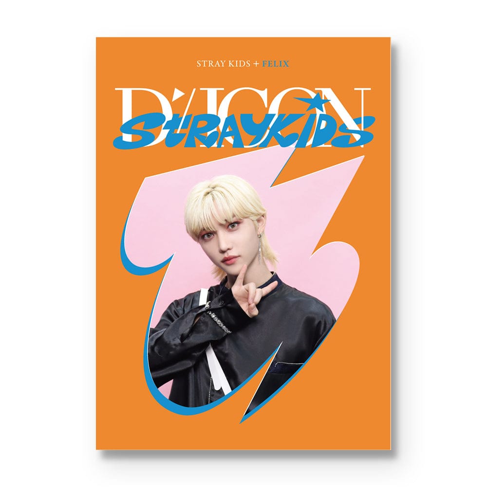 Stray Kids MD / GOODS 6. FELIX Stray Kids - DICON D’FESTA MINI EDITION